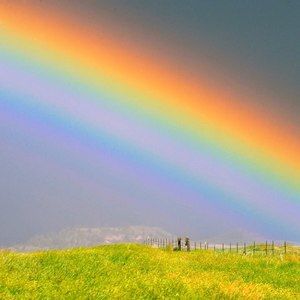 Meet your Posher, Dixie